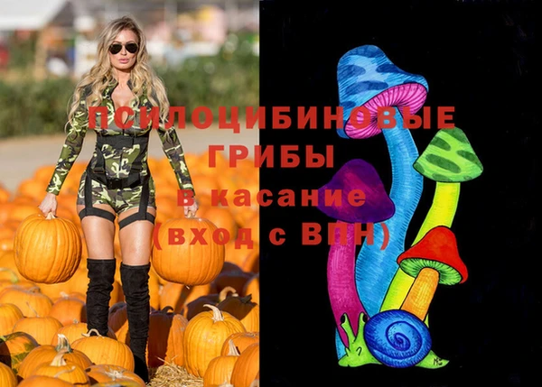 синтетический гашиш Белокуриха