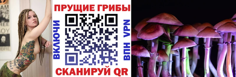 Купить закладки  Семикаракорск  Галлюциногенные грибы GOLDEN TEACHER 