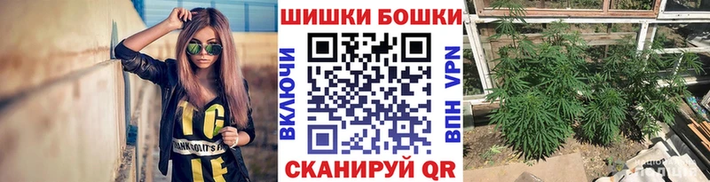 Бошки Шишки ГИДРОПОН  Купить закладки  Семикаракорск 